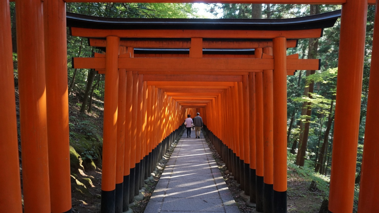A tunnel of vermilion torii gates ascending the wooded path of Fushimi Inari Shrine near Kyoto, Japan