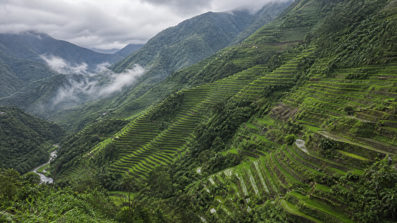 The terraced rice paddies of Banaue carved into the mountainside