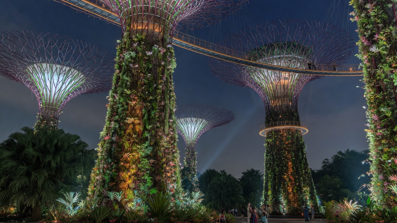 The lit Supertree Grove at Gardens by the Bay, Singapore, after dark