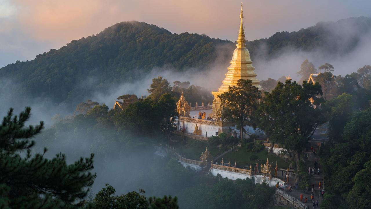 A golden chedi on a forested mountainside above Chiang Mai, low cloud drifting through the trees in early morning light
